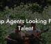 Rap Agents Looking For Talent