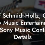 Rolf Schmidt-Hollz, CEO Sony Music Entertainment at Sony Music Contact Details