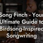 song finch your ultimate guide to birdsonginspired songwriting lyric assistant