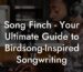 song finch your ultimate guide to birdsonginspired songwriting lyric assistant