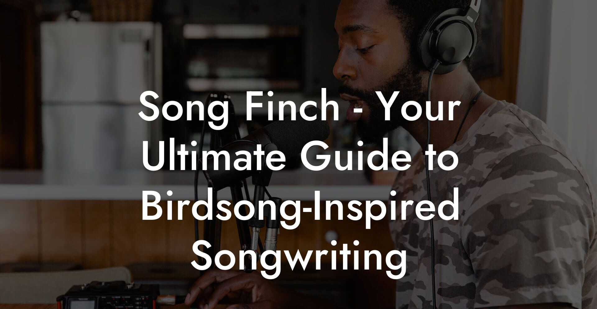 song finch your ultimate guide to birdsonginspired songwriting lyric assistant