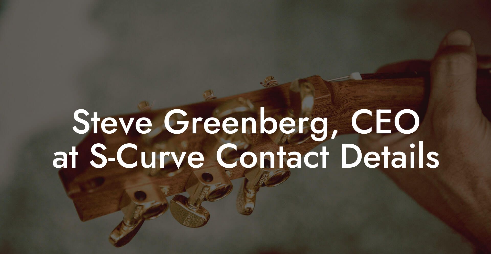 Steve Greenberg, CEO at S-Curve Contact Details