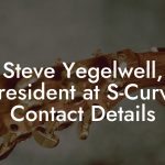 Steve Yegelwell, President at S-Curve Contact Details