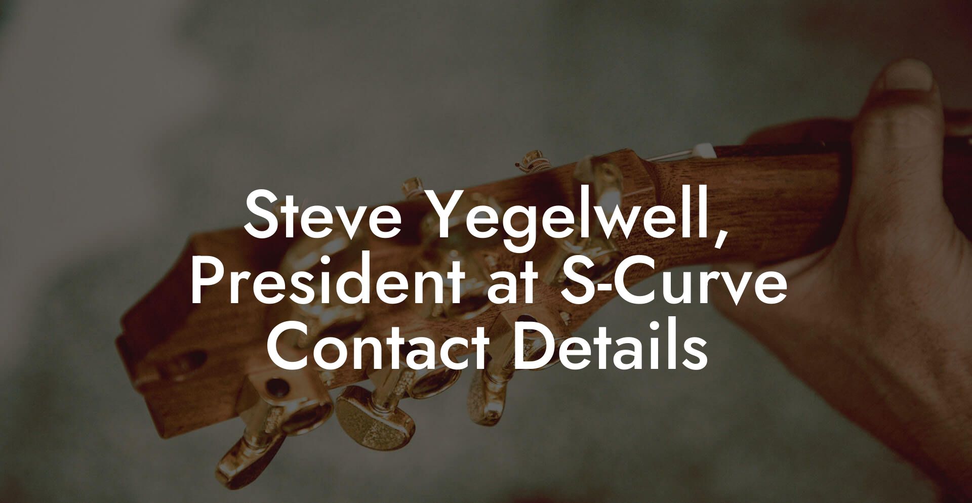 Steve Yegelwell, President at S-Curve Contact Details