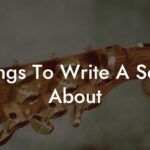 things to write a song about lyric assistant
