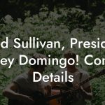 Todd Sullivan, President at Hey Domingo! Contact Details