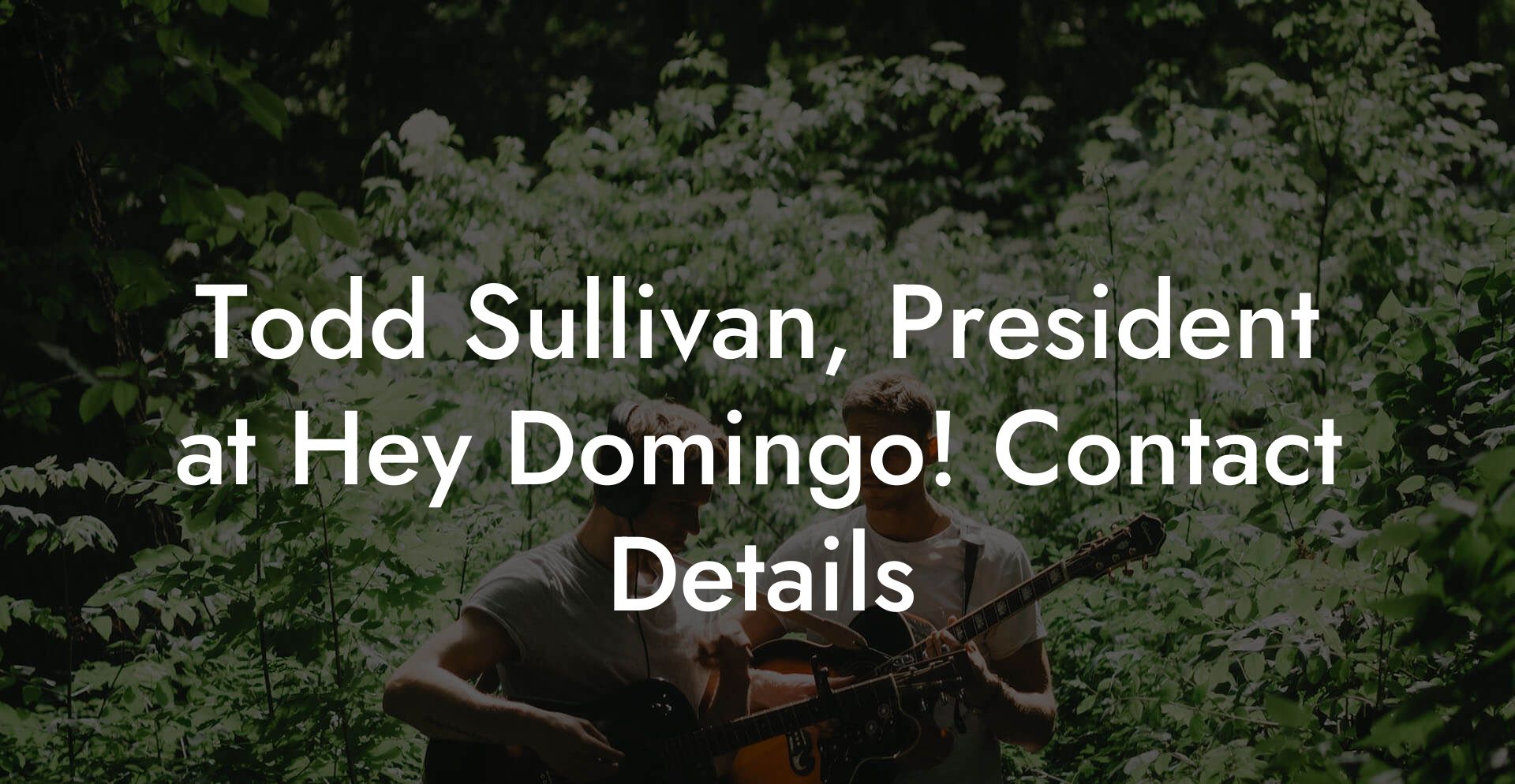 Todd Sullivan, President at Hey Domingo! Contact Details