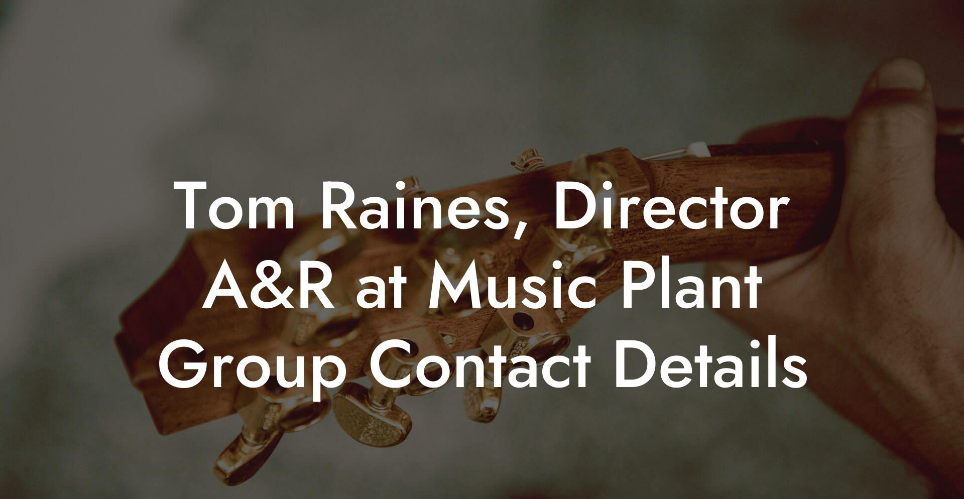 Tom Raines, Director A&R at Music Plant Group Contact Details