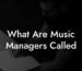 What Are Music Managers Called