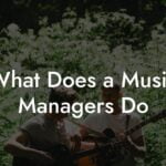 What Does a Music Managers Do
